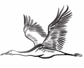 Brush painting of a crane in flight