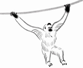 Brush painting of a monkey brachiating on a vine